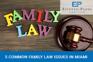 Family law Lawyer